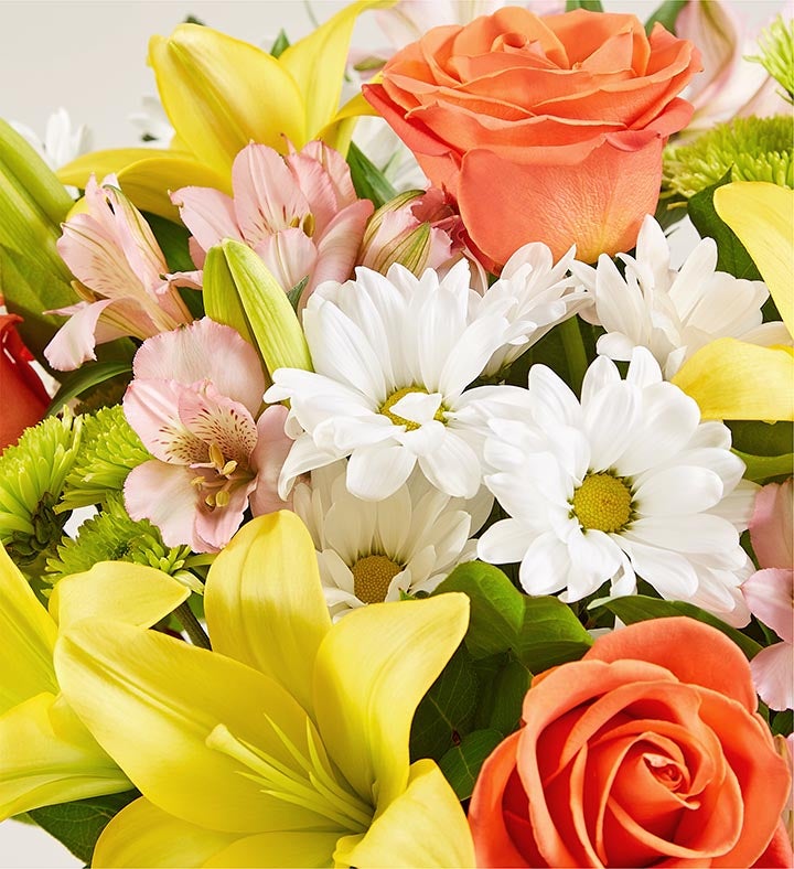 Fields of Europe® Get Well