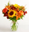 Fields of Europe® for Fall