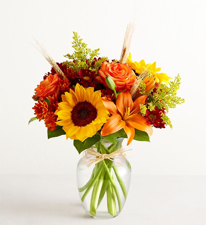 Fields of Europe® Fall