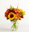 Fields of Europe® Fall