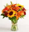 Fields of Europe® for Fall