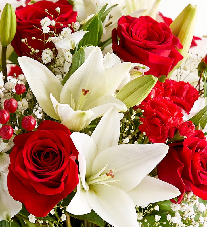 Fields of Europe® Christmas