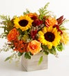 Heartfelt Radiance™ Bouquet