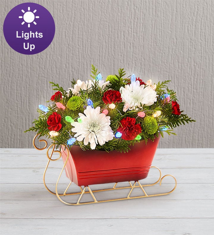 Dashing Through the Snow™ Sleigh from SendFlowers.io