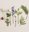 Winter Wishes™ Bouquet