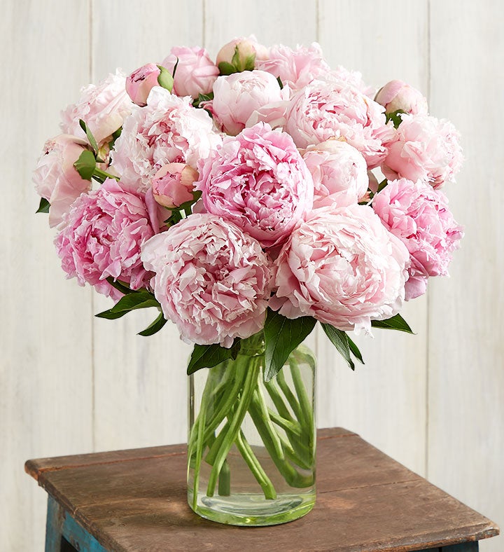 Precious Peony Bouquet