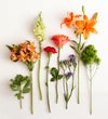 Vibrant Floral Medley™ with Happy Birthday LED Pick