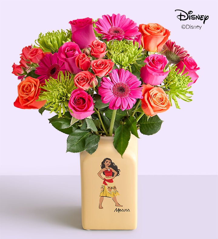 Disney&#x27;s Moana Island Dream