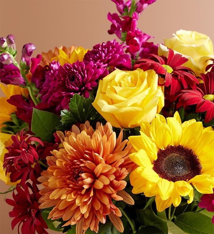 WANIMA - momo Expressions of Fall™ Bouquet | 1800Flowers.com