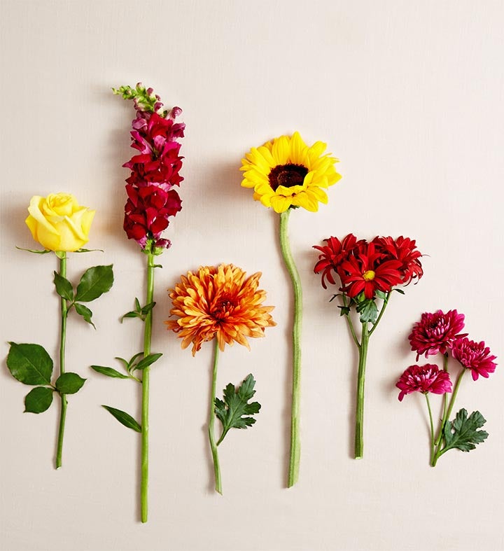 WANIMA - momo Expressions of Fall™ Bouquet | 1800Flowers.com