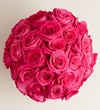 Contemporary Hot Pink Roses
