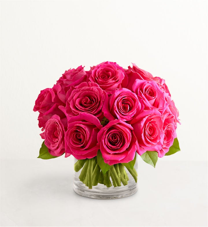 Contemporary Hot Pink Roses — 1-800-Flowers.com (from $89.99