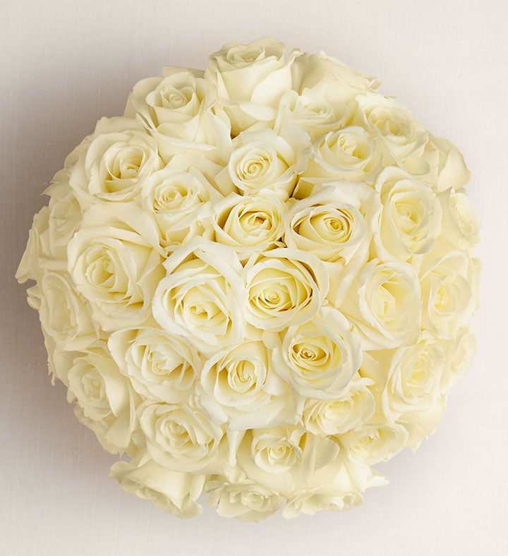 Contemporary White Roses