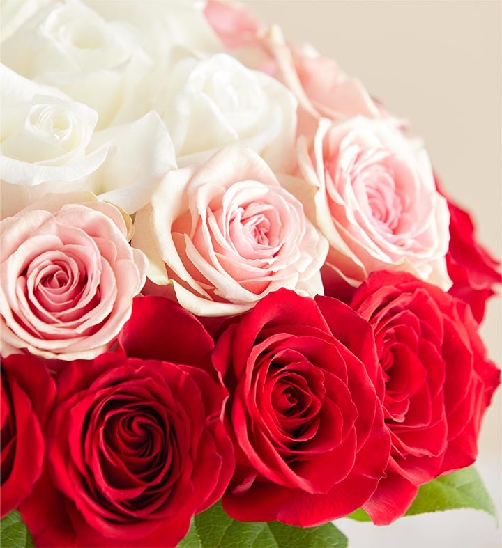 Ombre Roses | 1800Flowers.com.com | 1800Flowers.com