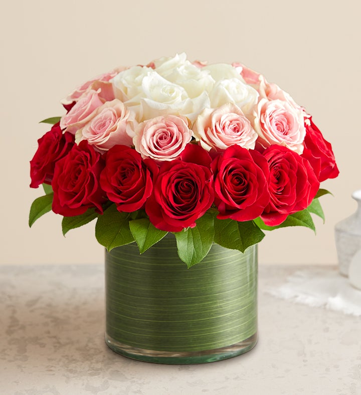 Flowers bloom,Birds tweet,Wind blows&Mo… Ombre Roses | 1800Flowers.com.com | 1800Flowers.com