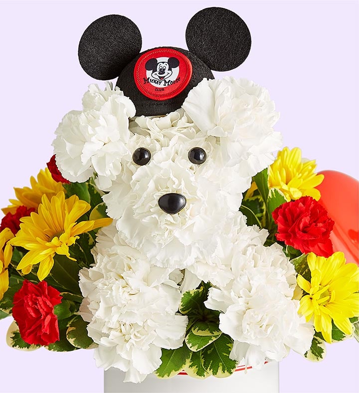 Disney Mickey Mouse and Friends Cookie Jar – a-DOG-able