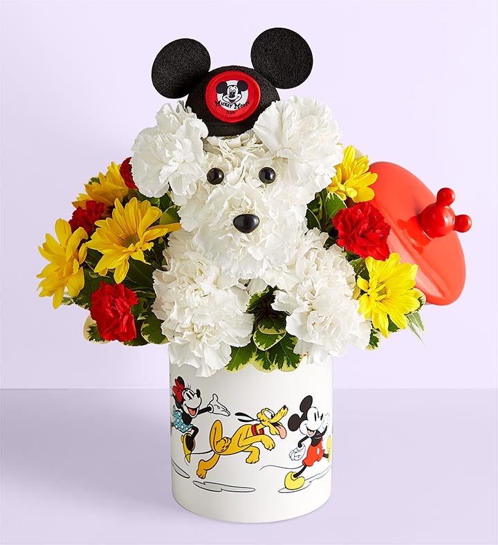 Disney Mickey Mouse and Friends Cookie Jar – a DOG able