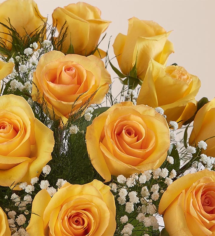 子供お花 SR 子供お花 SR Amazon.co.jp: ゼクス Z/X ZX SRH HSR