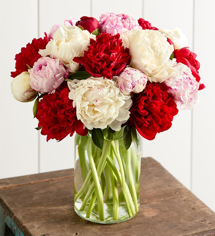 Red, White & Pink Peony Bouquet