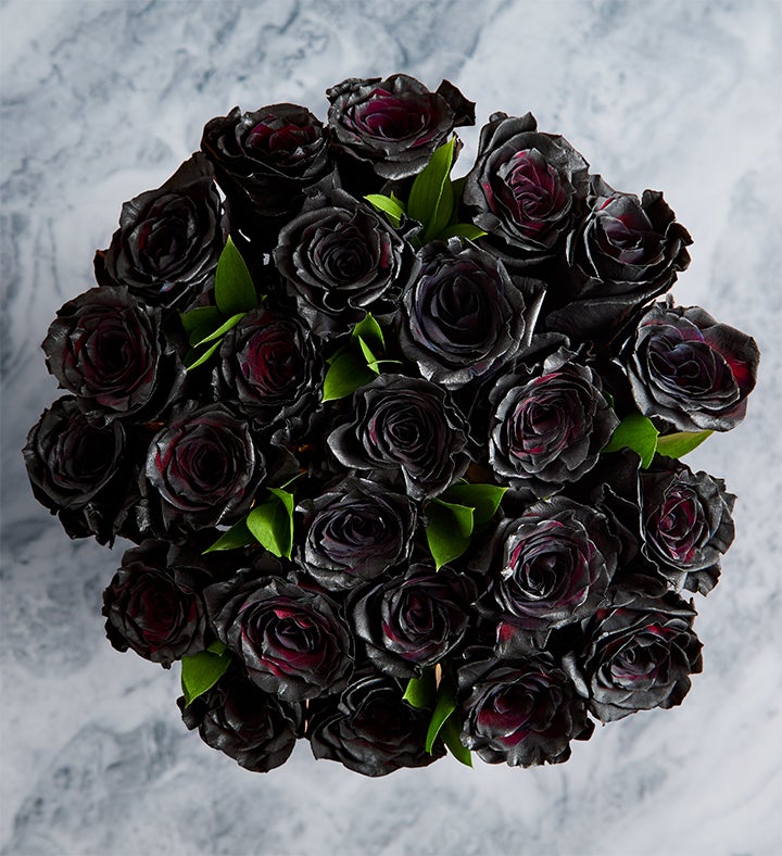 Midnight Romance Black Roses