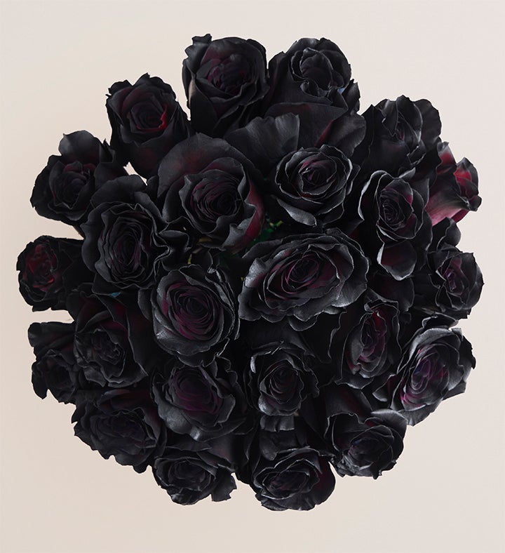 Midnight Romance Black Roses