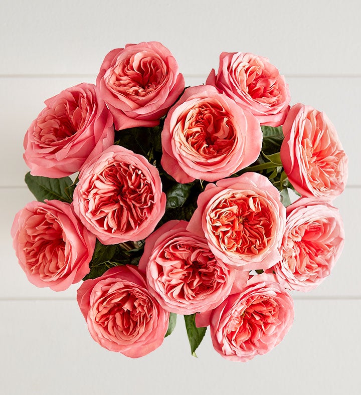 One Dozen Pink Garden Roses