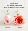 One Dozen Pink Garden Roses