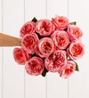 One Dozen Pink Garden Roses