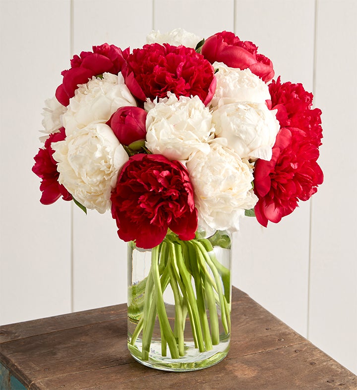 Candy Cane Peony Dream Bouquet