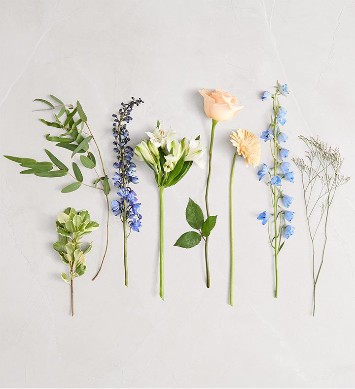 ぞうきち ③⑨⑩⑪⑰ Coastal Charm™ Bouquet | 1800Flowers