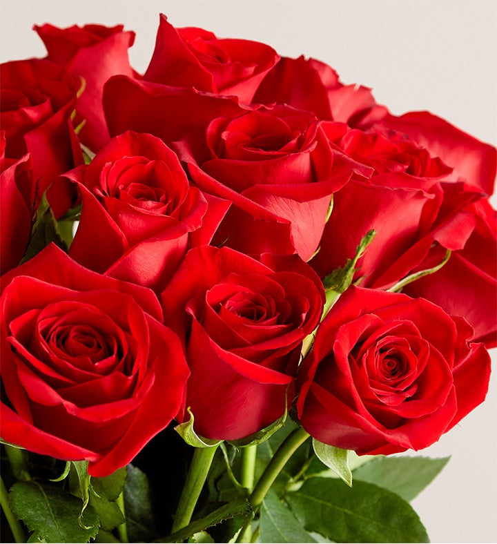 Romantic Red Roses