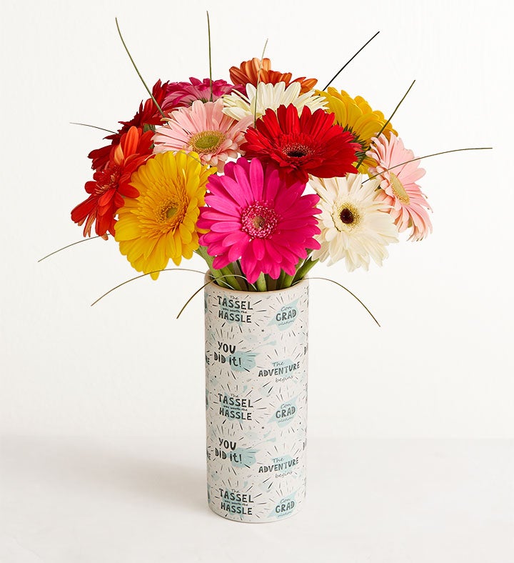 Gerbera Daisies with New Horizons Vase