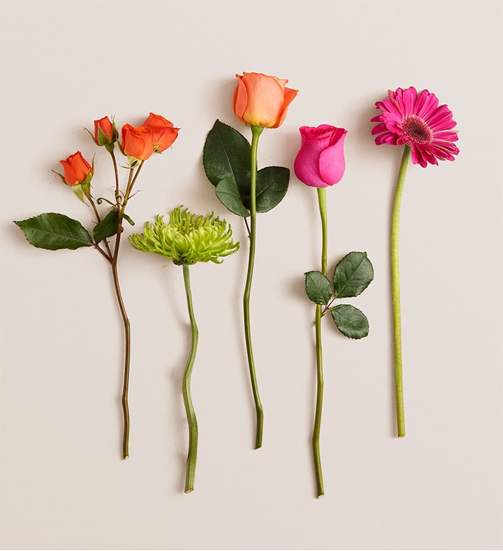 Vibrant Blooms Bouquet with The Future is Yours Vase