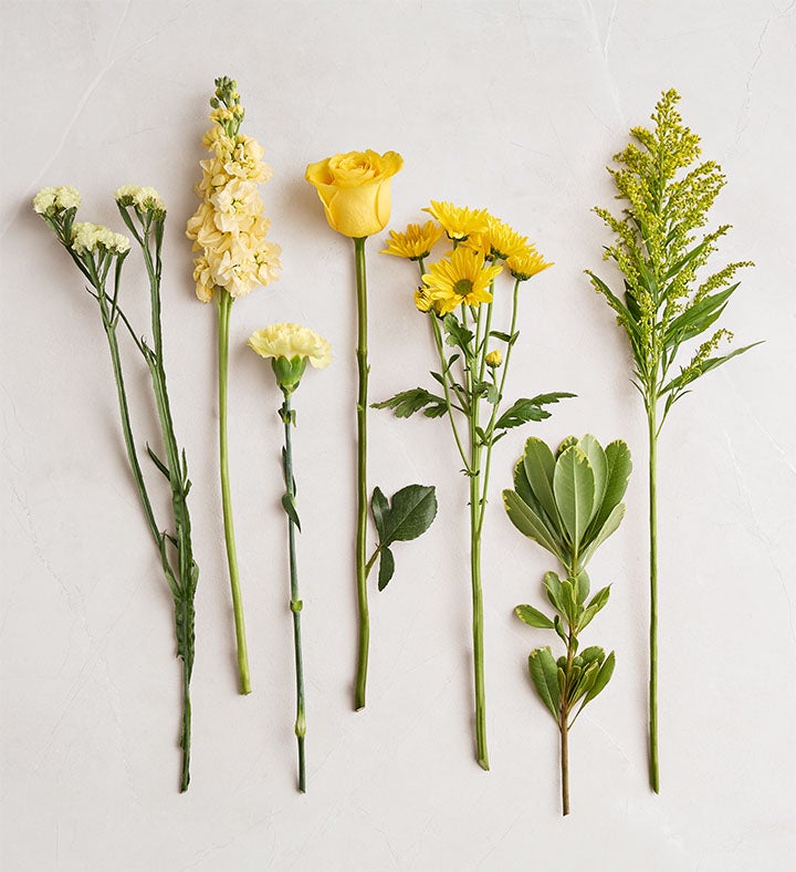 Sunshine Radiance™ Bouquet | Bright Yellow Blooms | 1800Flowers