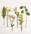 Sunflower Radiance Bouquet