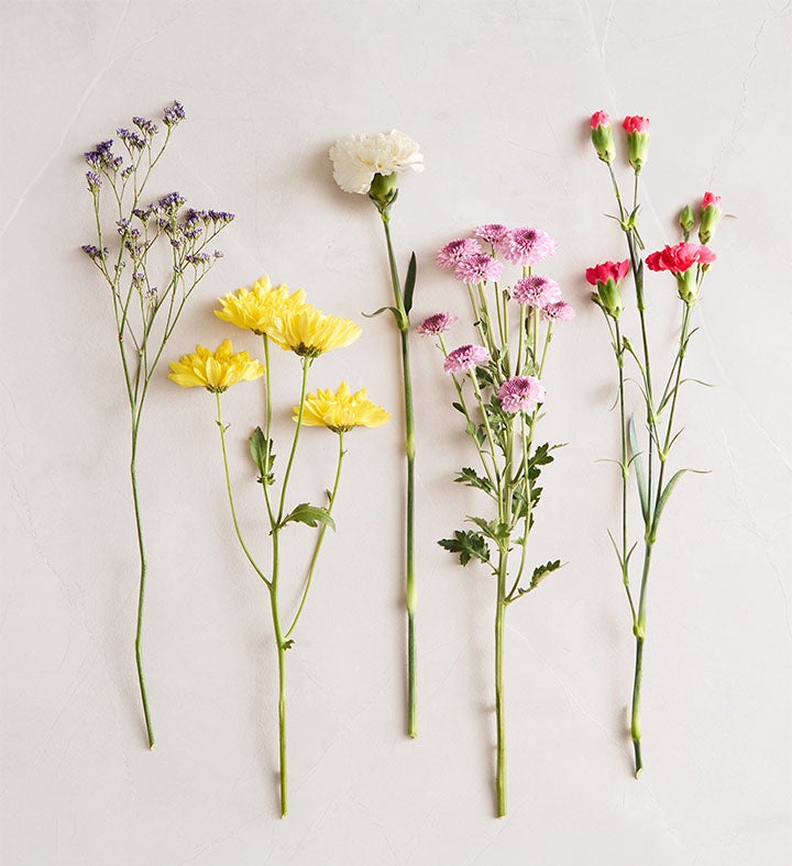 Party Pooch™ | Fun Birthday Flower Arrangments | 1800Flowers