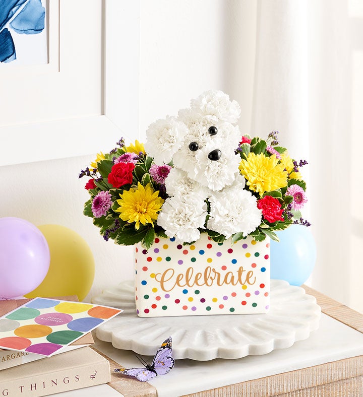 anonnmama♡ Party Pooch™ | Fun Birthday Flower Arrangments | 1800Flowers
