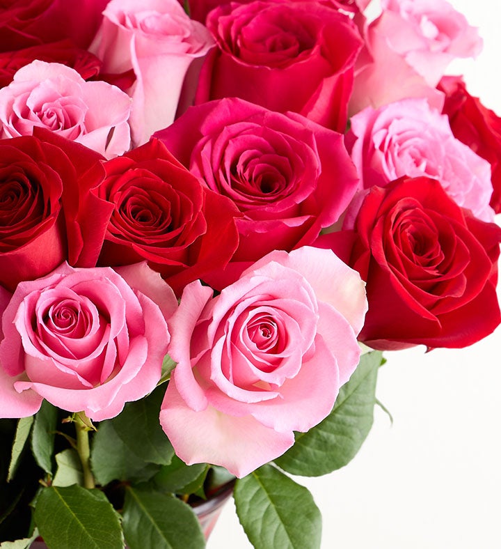 Deluxe Enchanted Rose Medley Bouquet, 36 Stems