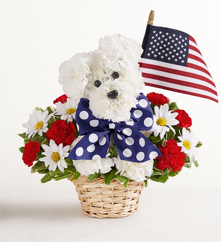 Yankee Doodle Doggie™