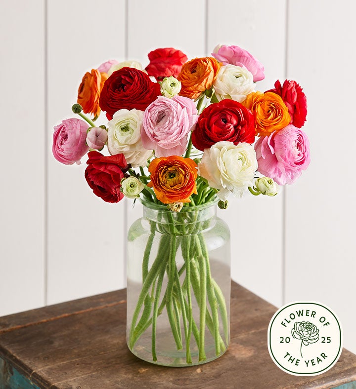 Flower Color Meaning | Significance of Flower Colors | Petal Talk