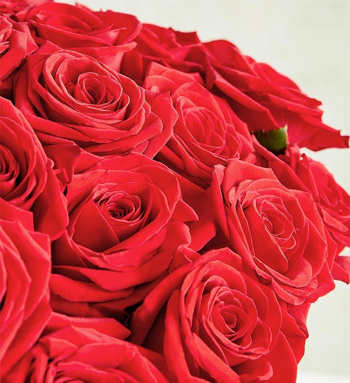 Bouquet of the Month: Two Dozen Red Roses