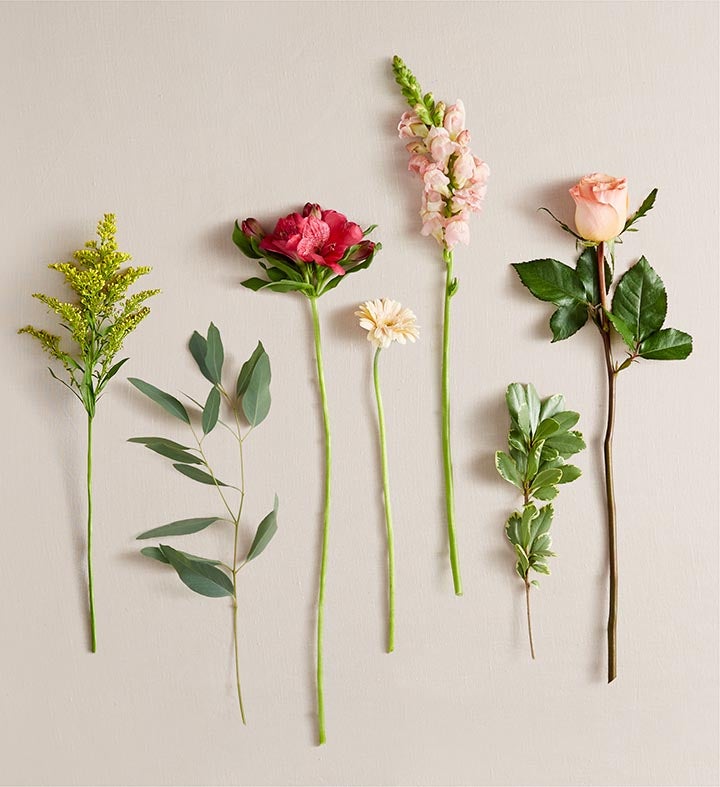 Blush Expressions™ Bouquet | 1800Flowers.com