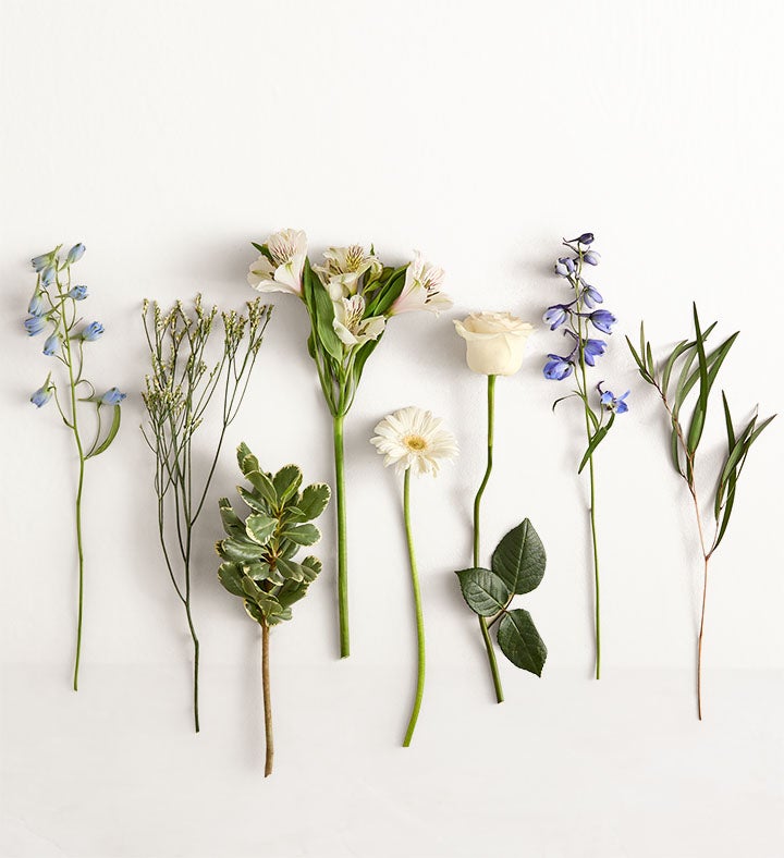 AYHB♡F Treasured Memories ™ Blue and White | 1800Flowers.com