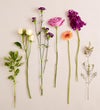 Alluring Beauty™ Bouquet