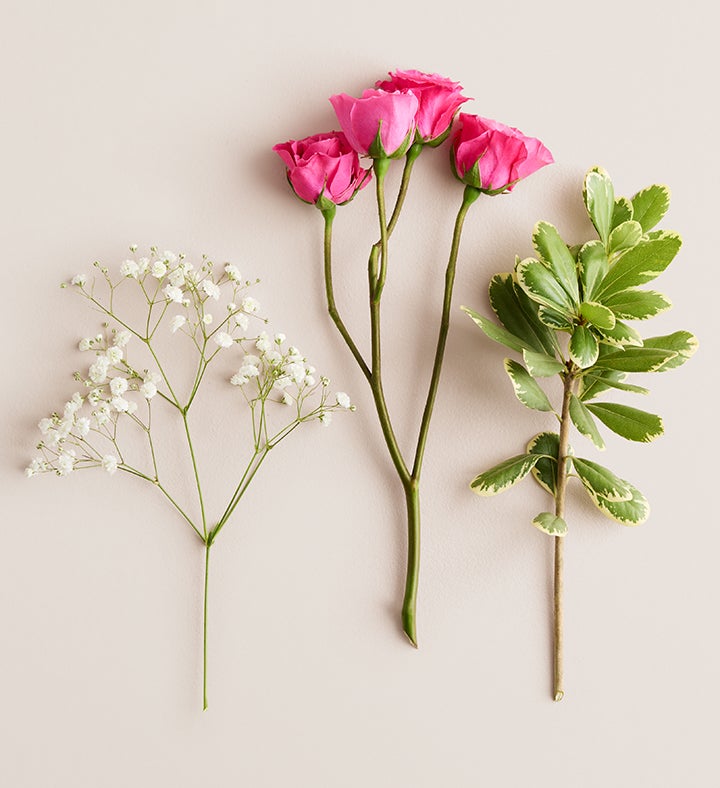 Hot Pink Spray Rose Corsage