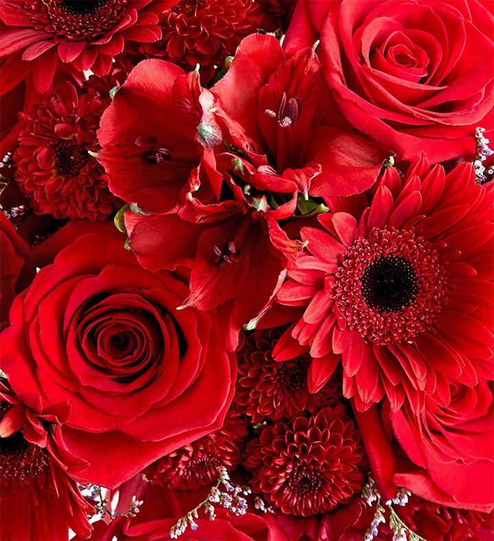 Prom Bouquet   Red and Burgundy