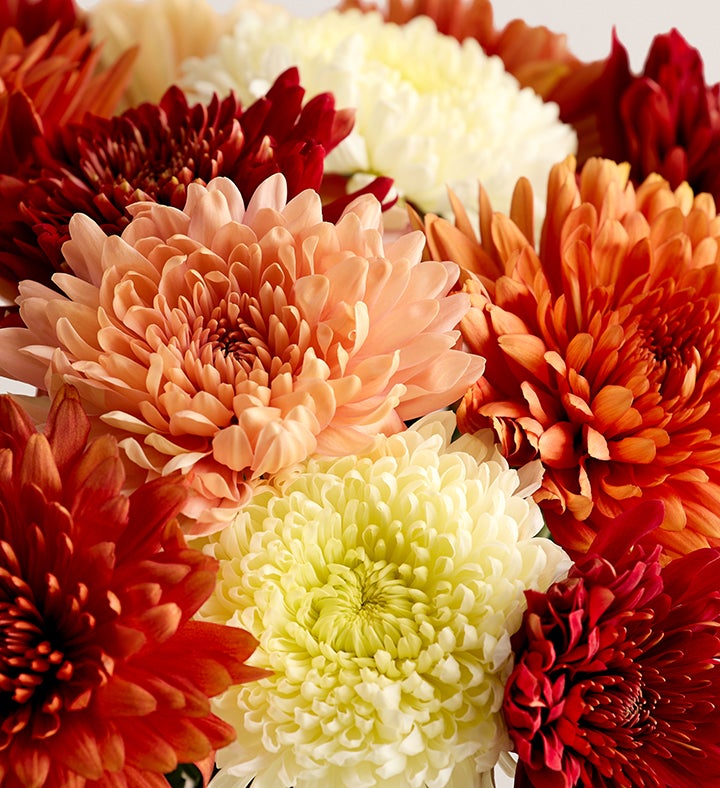 Fall Mum Bouquet