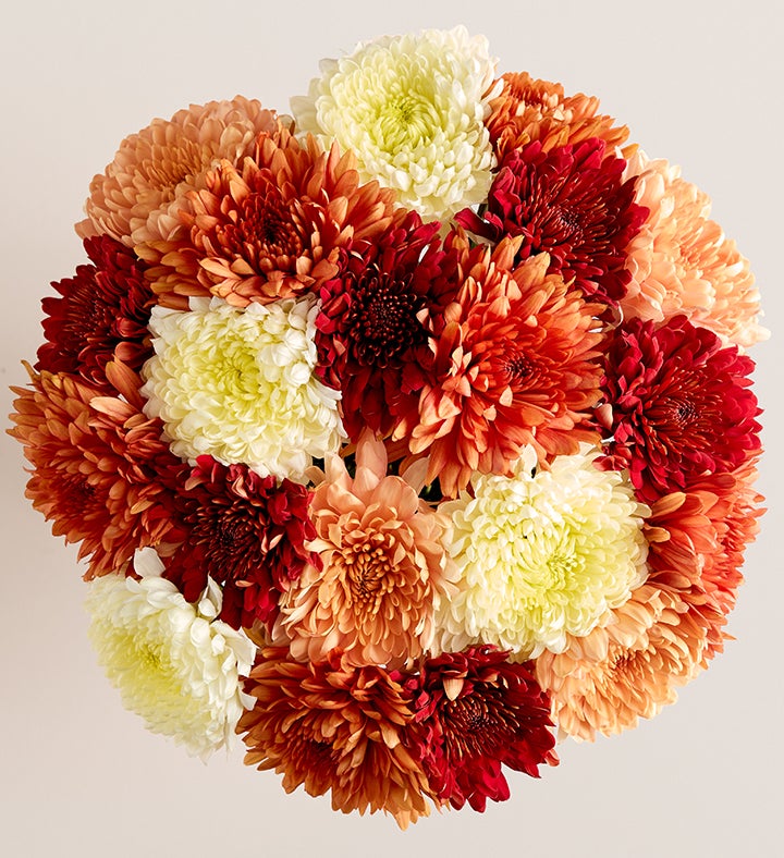 Fall Mum Bouquet