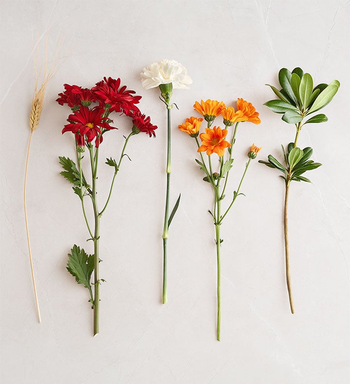 a-DOG-able® for Fall | 1800Flowers
