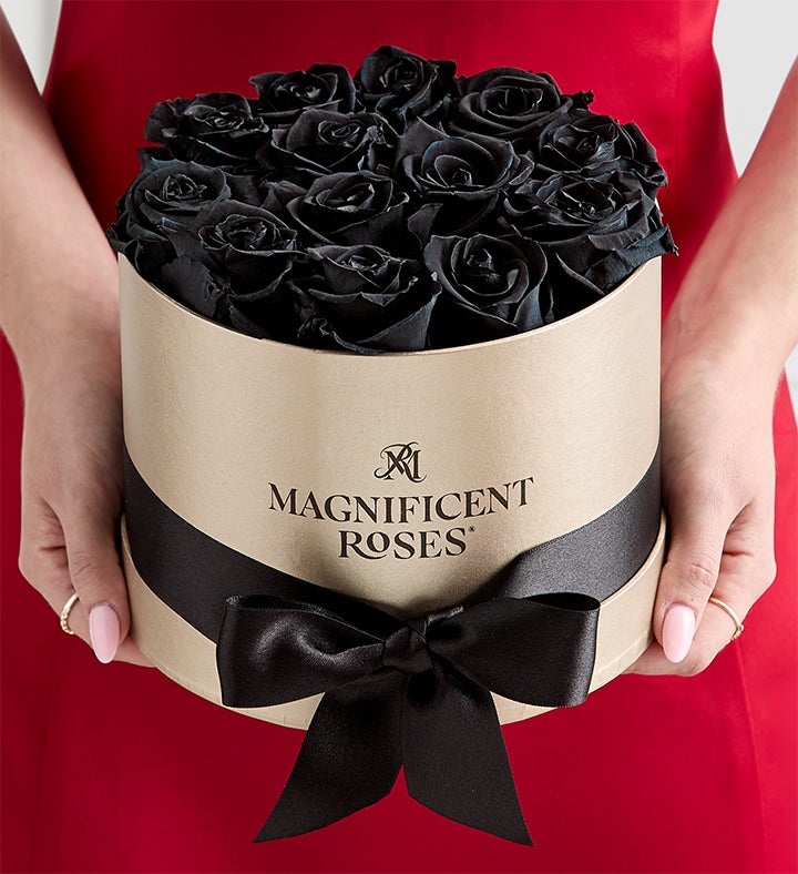 Magnificent Roses® Preserved Black Roses